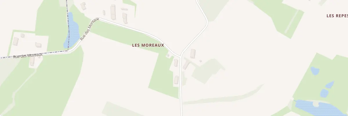 Plan du 1196 Rue des Moreaux à La Chaux