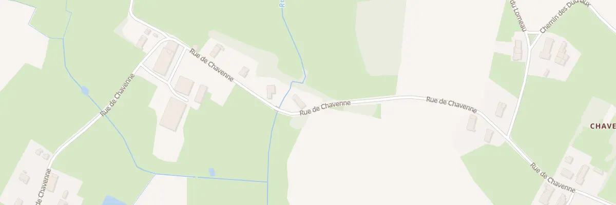 Plan du 719 Rue de Chavenne à La Chapelle-Saint-Sauveur