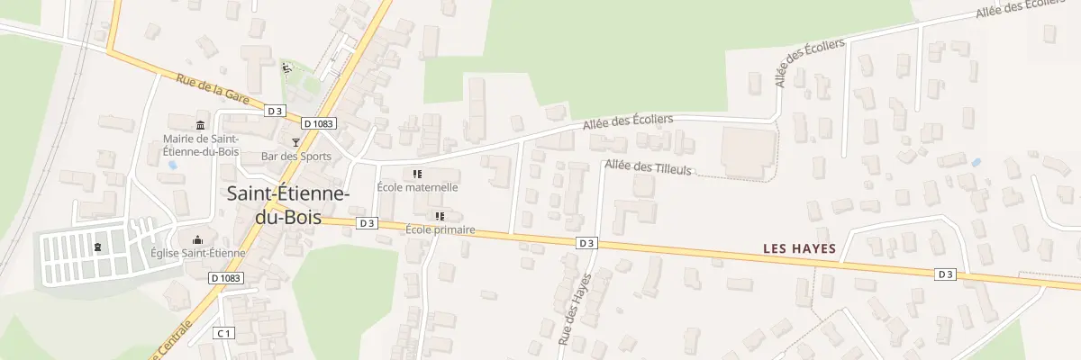 Plan du 60 Rue du Champ de Foire à Saint-Étienne-du-Bois