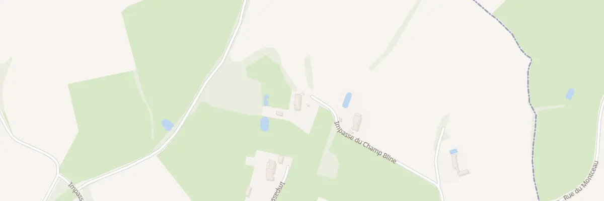 Plan du 329 Imp du Champ Bline à Montagny-près-Louhans
