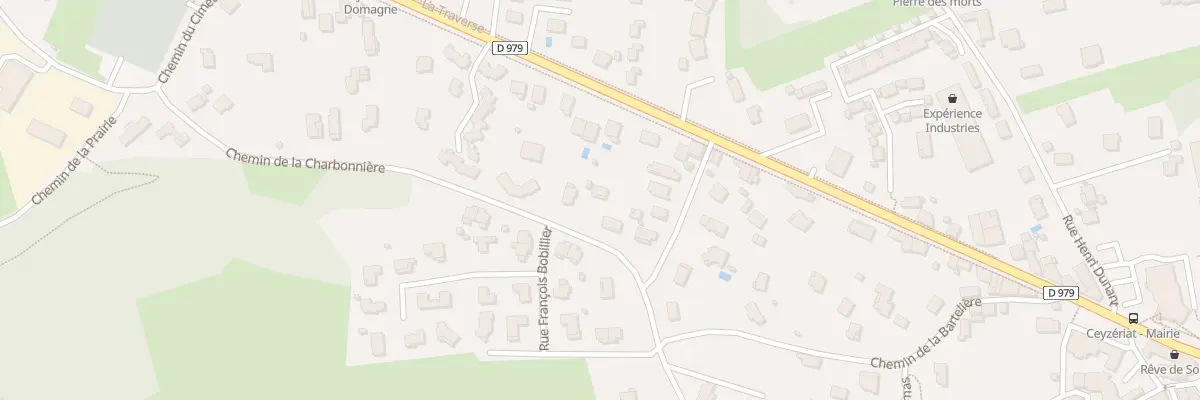 Plan du 5705 Les Rippes à Ceyzériat