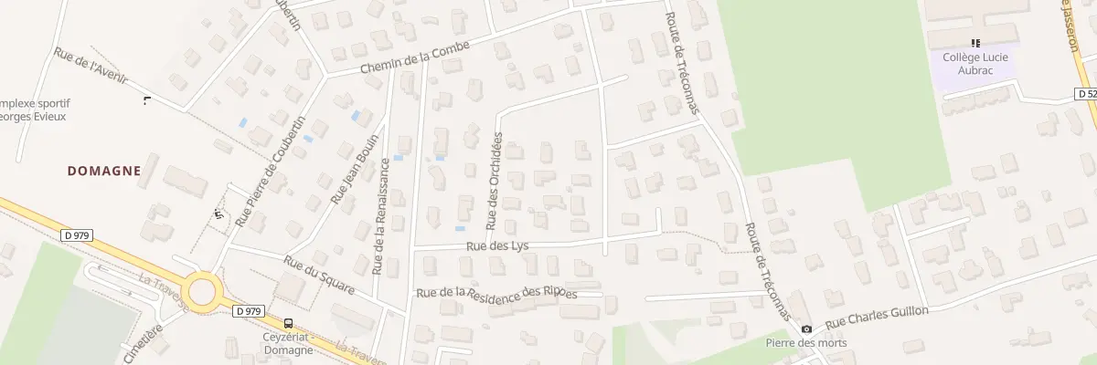 Plan du 21 Rue des Arums à Ceyzériat