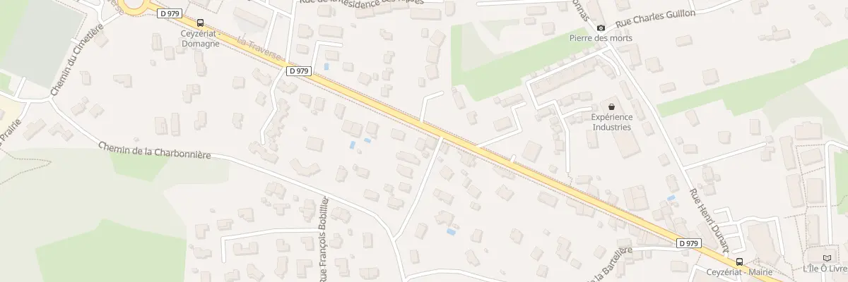 Plan du 31 Av du Revermont à Ceyzériat