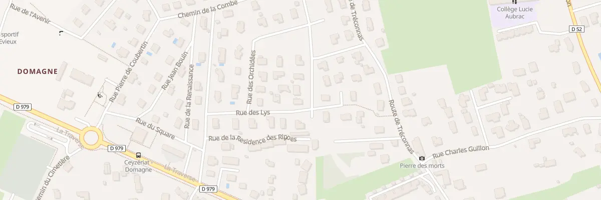 Plan du 18 Rue des Arums à Ceyzériat