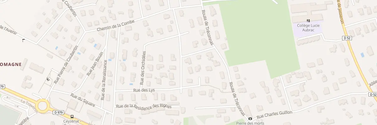 Plan du 39 Rue des Arums à Ceyzériat
