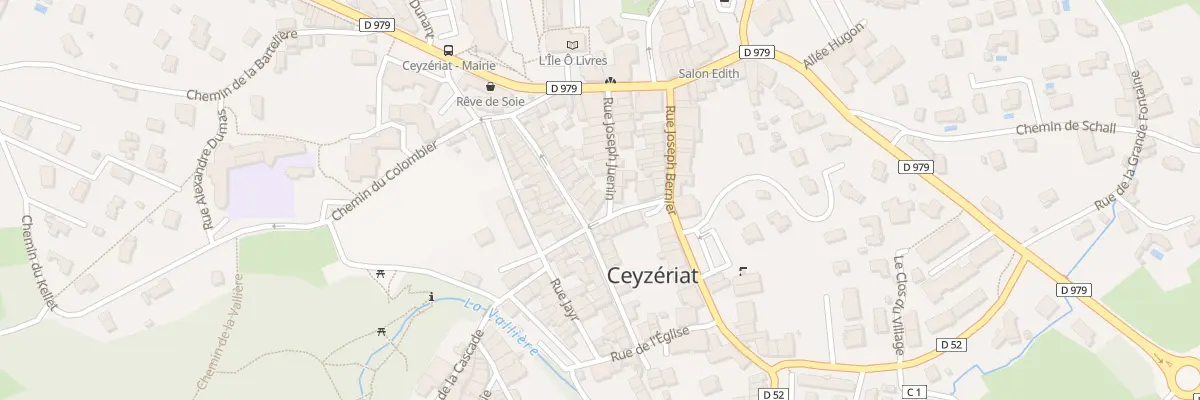 Plan du 5017 Le Village à Ceyzériat