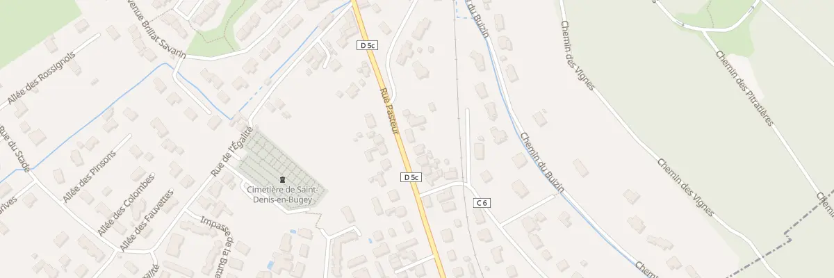 Plan du 63 Rue Pasteur à Saint-Denis-en-Bugey