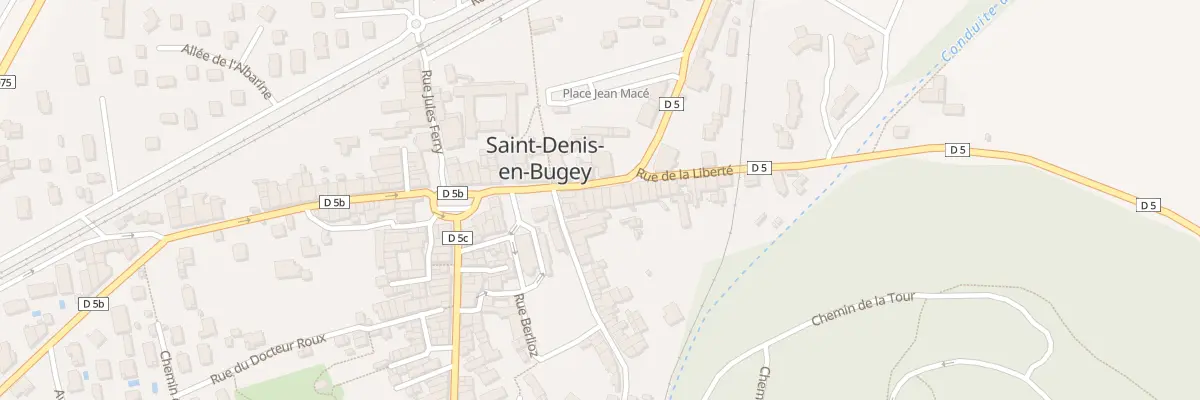 Plan du 10 Rue du Doc Charcot à Saint-Denis-en-Bugey