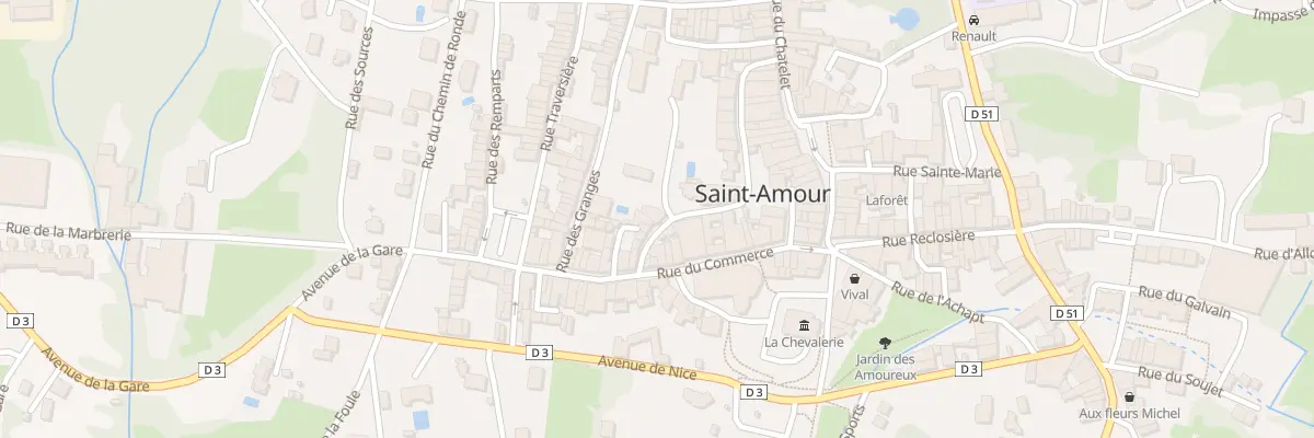 Plan du 26 Rue des Terreaux à Saint-Amour