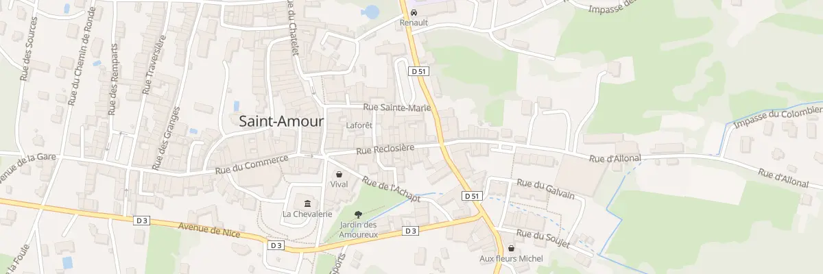 Plan du 21 Rue Reclosière à Saint-Amour
