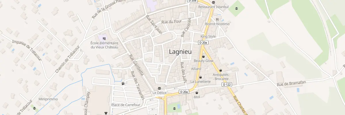 Plan du 20 Rue Centrale à Lagnieu