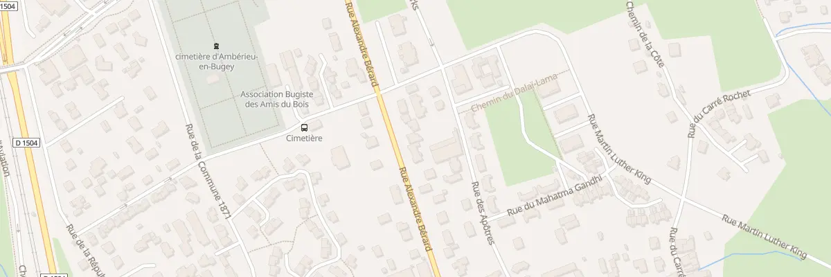 Plan du 172 Rue Alexandre Bérard à Ambérieu-en-Bugey