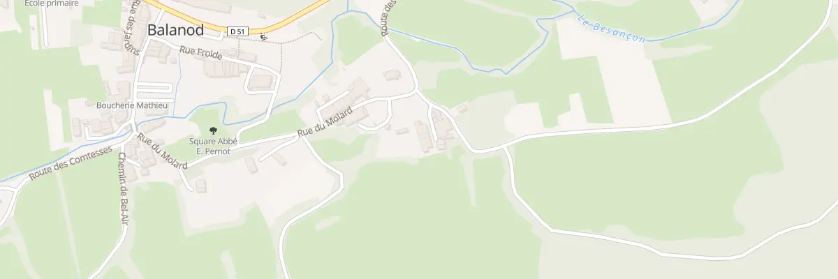 Plan du 61 Rue du Molard à Balanod