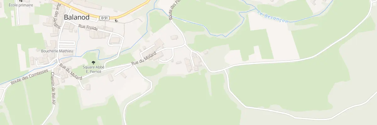 Plan du 63 Rue du Molard à Balanod