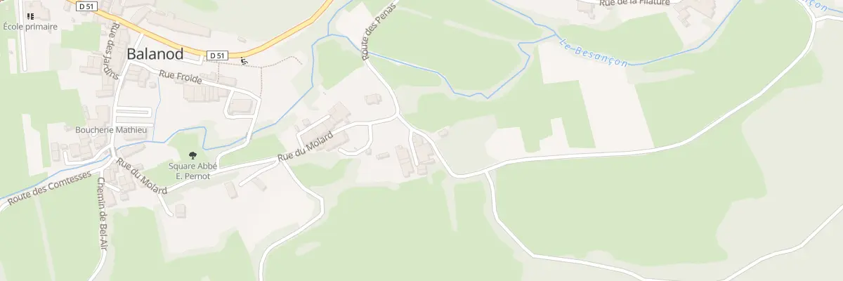 Plan du 43 Rue du Molard à Balanod