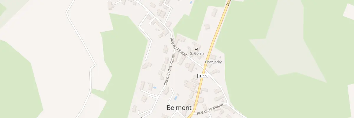 Plan du 9 Rue du Piraud à Belmont