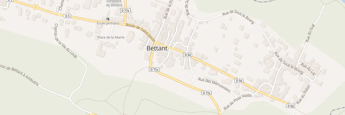 Plan du 55A Rue de la Vie Chavaz à Bettant