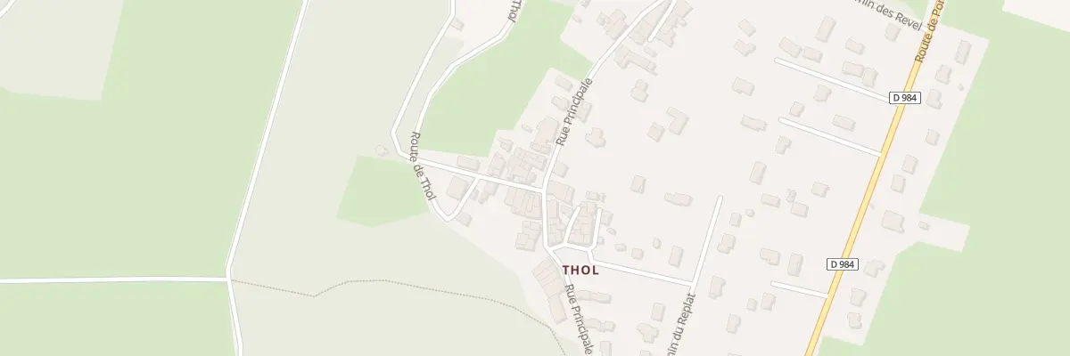 Plan du 294 Rue Principale à Neuville-sur-Ain