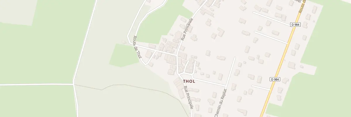 Plan du 310 Rue Principale à Neuville-sur-Ain
