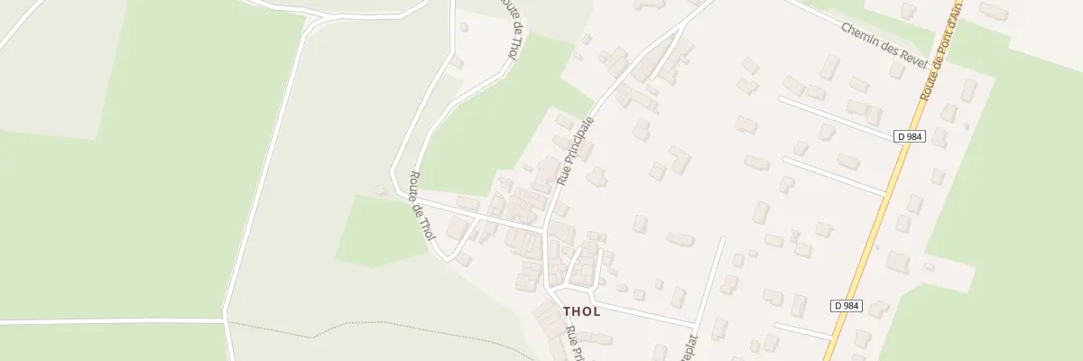 Plan du 250 Rue Principale à Neuville-sur-Ain