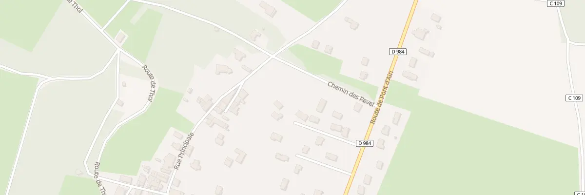 Plan du 117 Che des Revel à Neuville-sur-Ain
