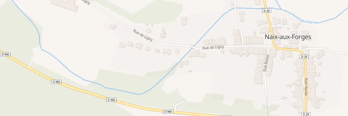 Plan du 29 Rue de Ligny à Naix-aux-Forges