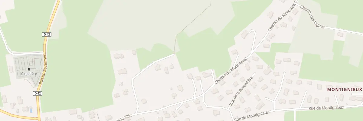 Plan du 425 Rue de la Ville à Neuville-sur-Ain
