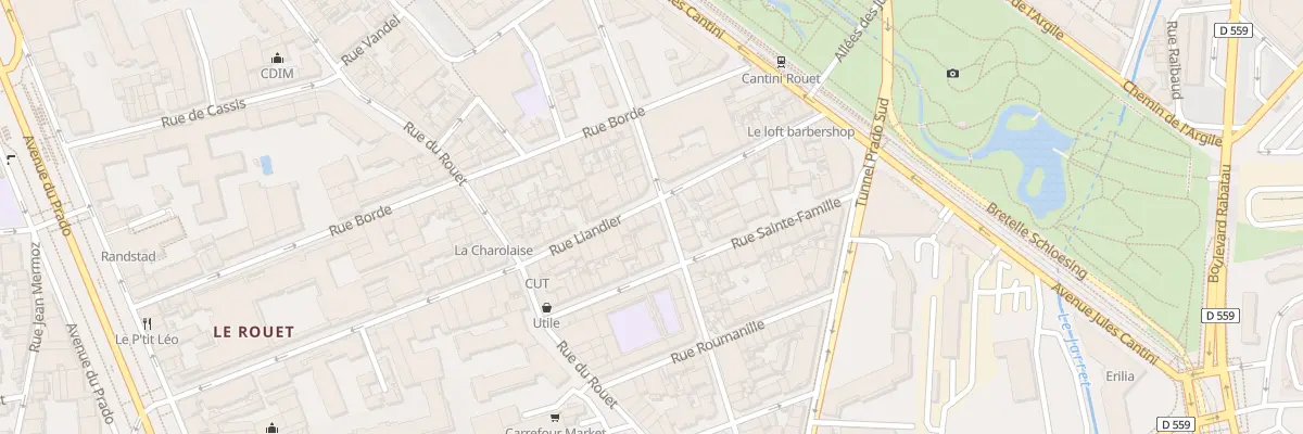Plan du 102 Rue liandier à Marseille 8e Arrondissement