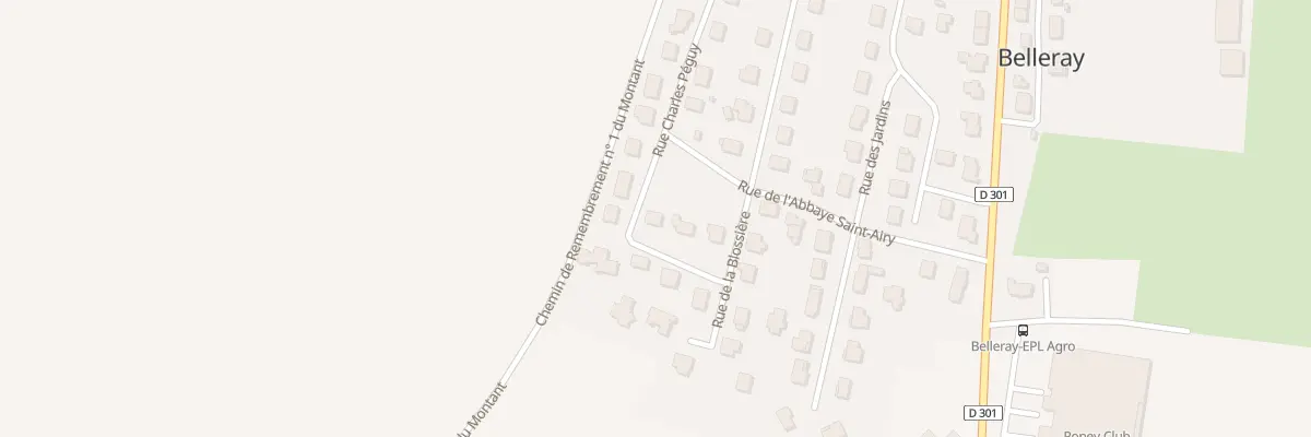 Plan du 11 Rue Charles Peguy à Belleray
