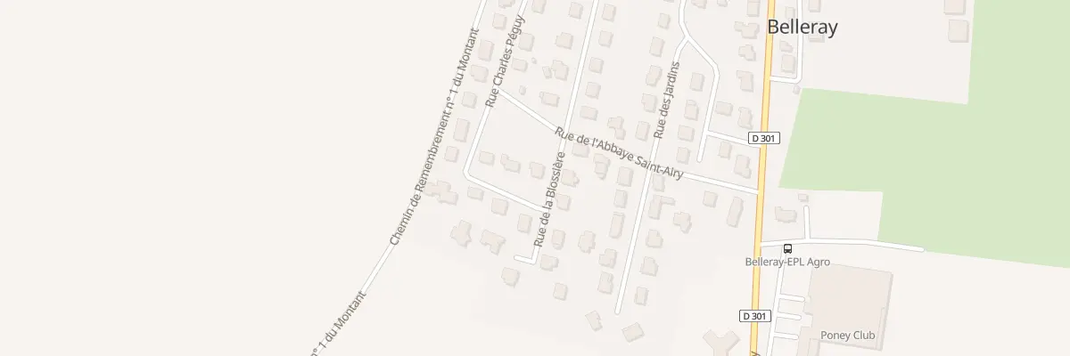 Plan du 8 Rue de la Blossière à Belleray