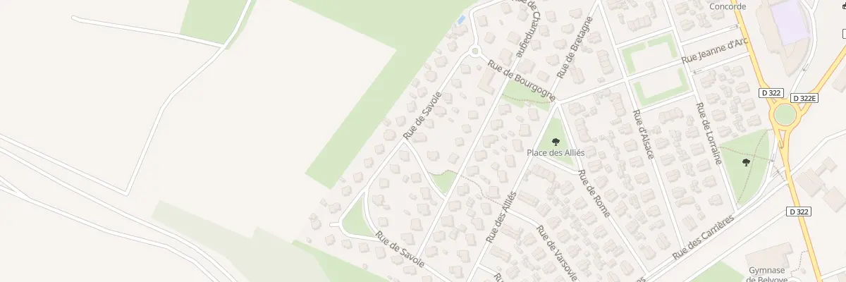 Plan du 12 Rue de Savoie à Damparis