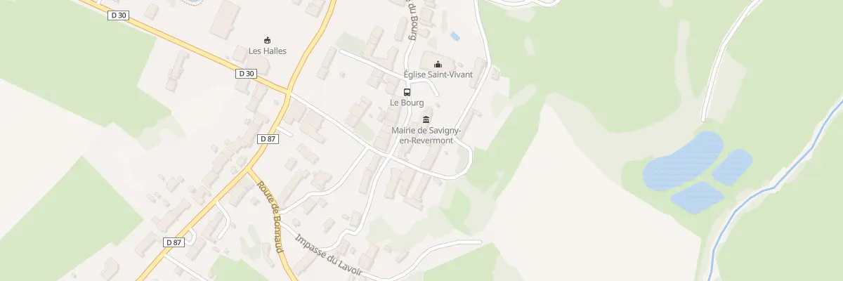 Plan du 160 Rue du Bourg à Savigny-en-Revermont