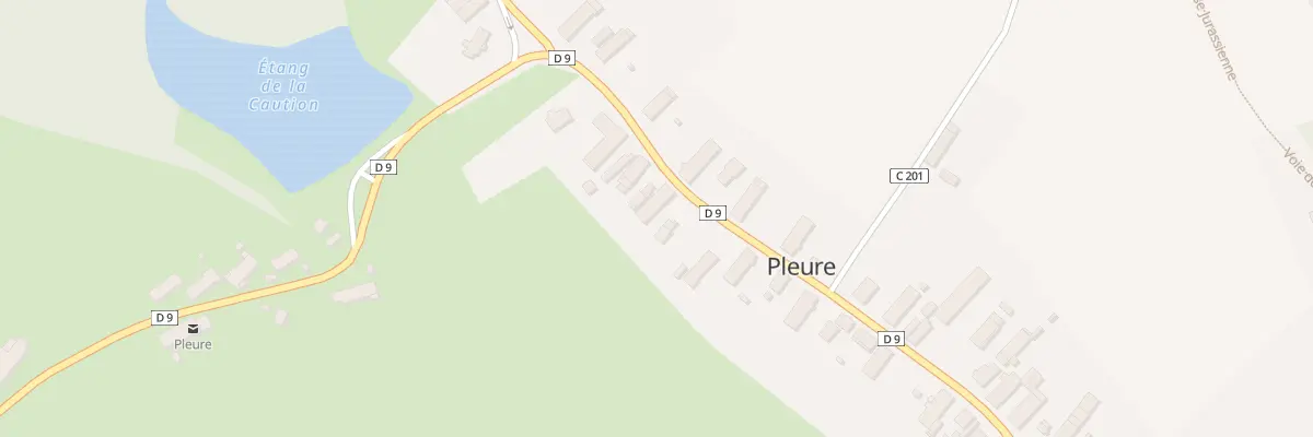 Plan du 10 Rte du Centre à Pleure