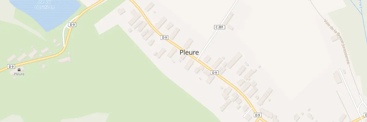 Plan du 16 Rte du Centre à Pleure