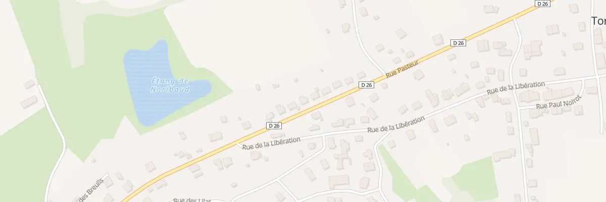Plan du 16 Rue Pasteur à Torcenay