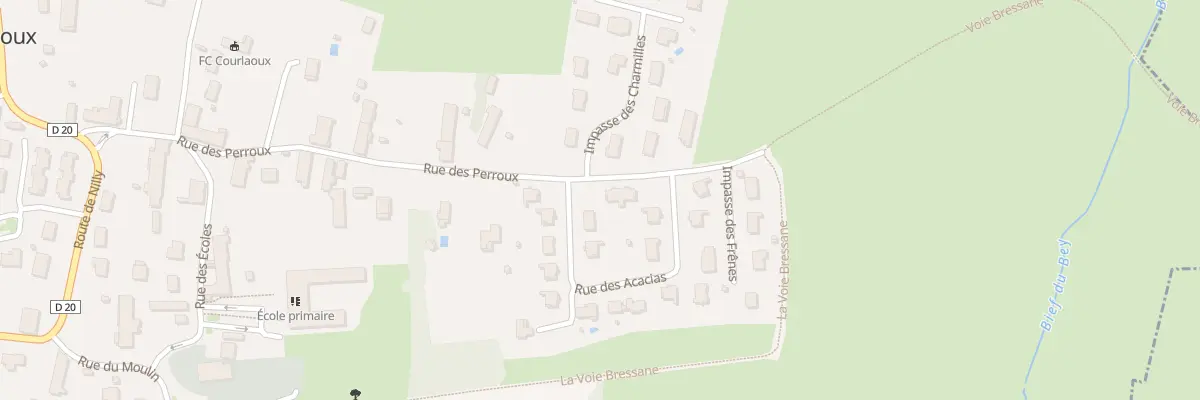 Plan du 438 Rue des Perroux à Courlaoux