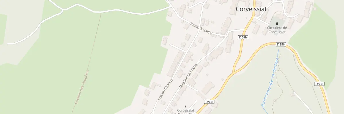 Plan du 248 Rue du Chanoz à Corveissiat