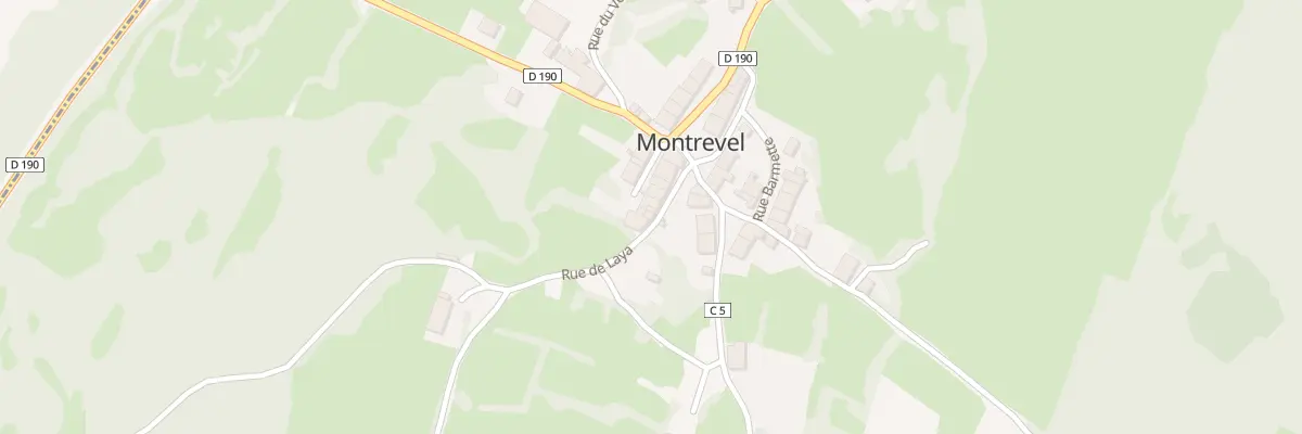 Plan du 10 Rue de Laya à Montrevel