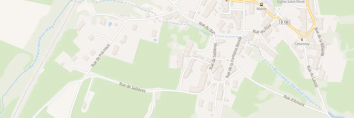 Plan du 78 Rue de la Cour du Loup à Cesancey