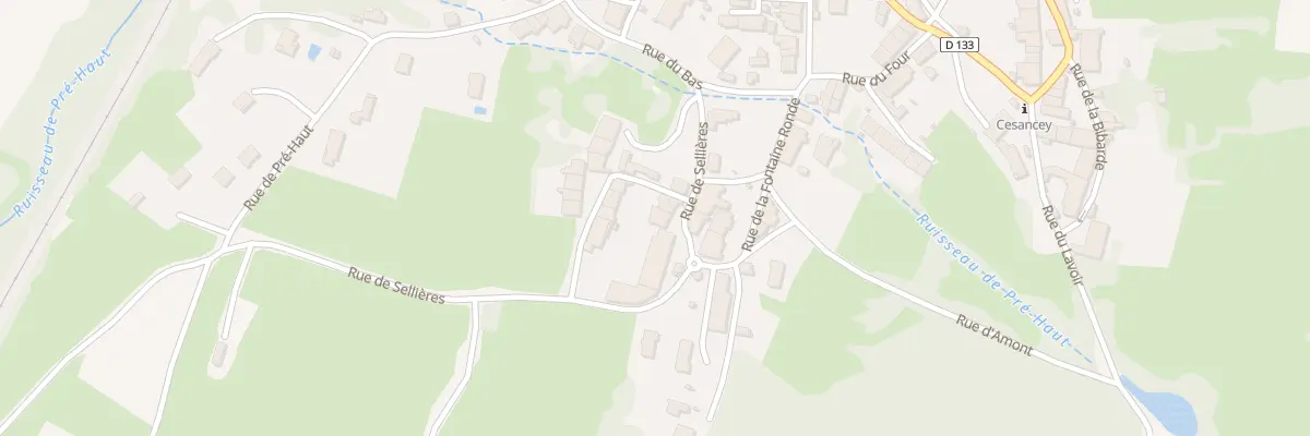 Plan du 100 Rue de Sellières à Cesancey