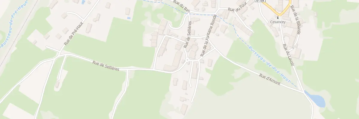Plan du 112 Rue de Sellières à Cesancey