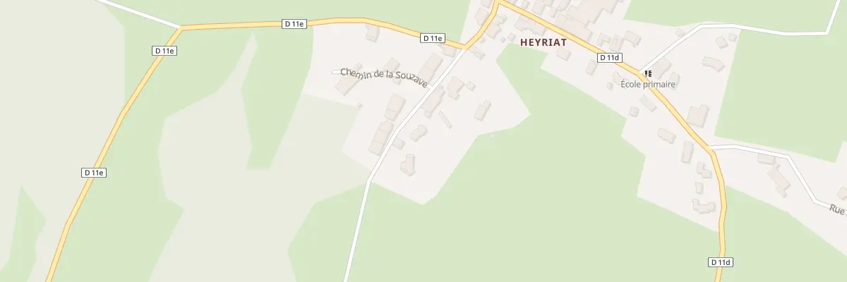 Plan du 101 Rue de Champ Rion à Sonthonnax-la-Montagne