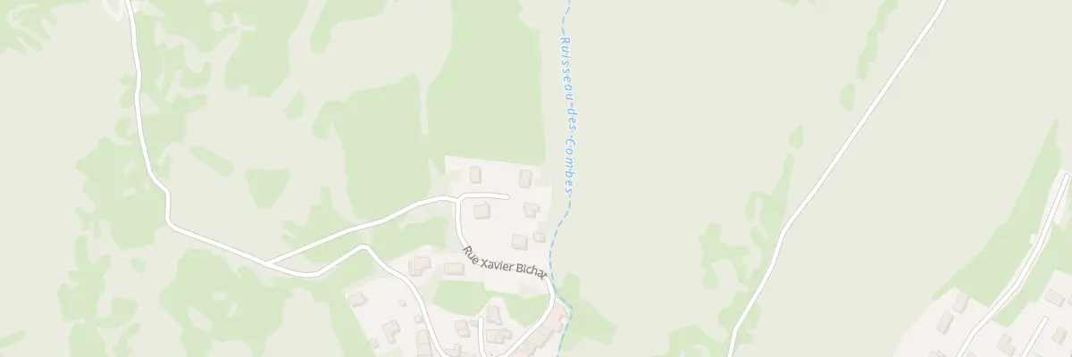 Plan du 5 Rue Xavier Bichat à Thoirette-Coisia