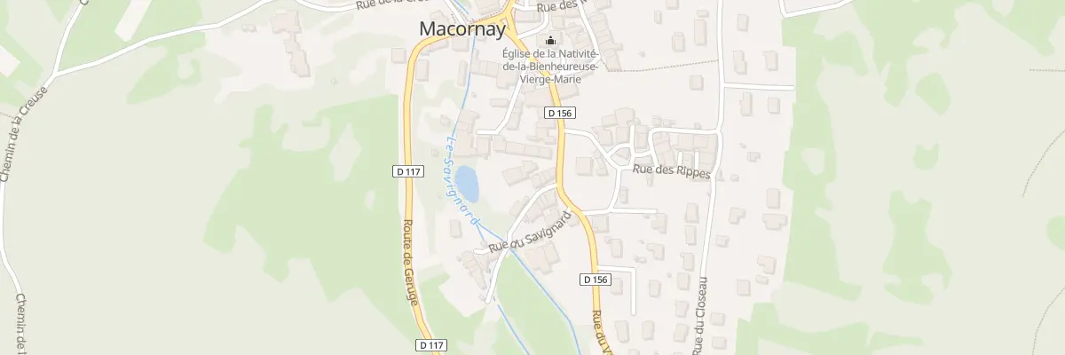 Plan du 16 Rue du Savignard à Macornay