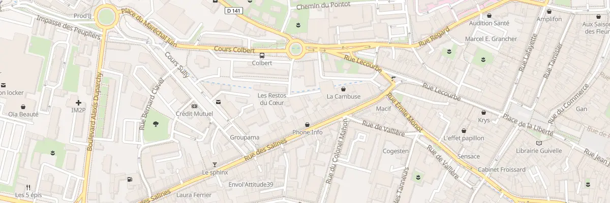 Plan du 22 Rue des Salines à Lons-le-Saunier