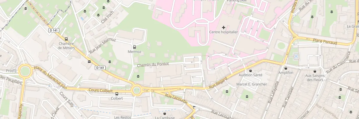 Plan du 161 Che du Pontot à Lons-le-Saunier