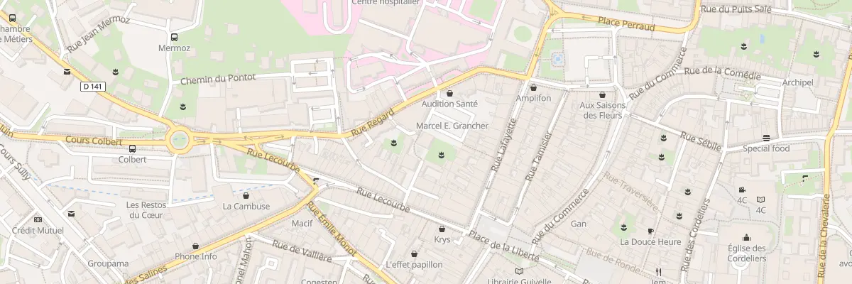 Plan du 115 Rue Regard à Lons-le-Saunier
