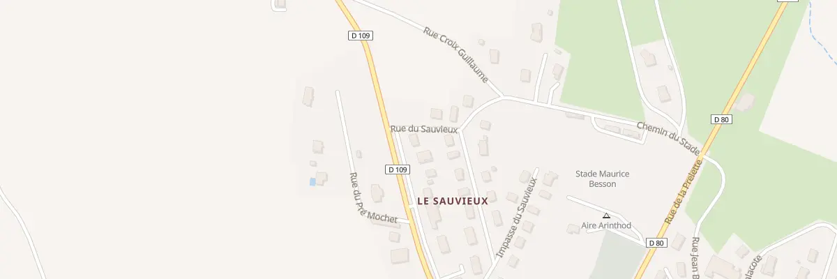 Plan du 11 Rue du Sauvieux à Arinthod