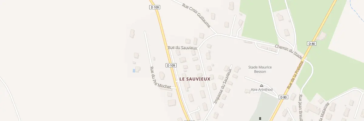 Plan du 13 Rue du Sauvieux à Arinthod