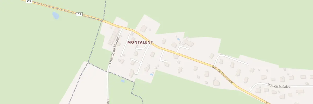 Plan du 767 Rue de Montalent au Louverot